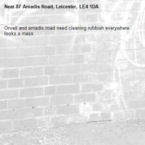 Orwell and amadis road need cleaning rubbish everywhere looks a mass-87 Amadis Road, Leicester, LE4 1DA