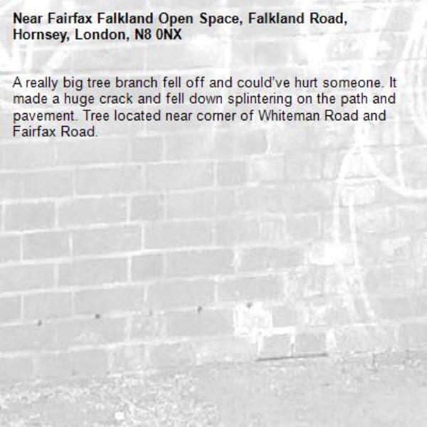 A really big tree branch fell off and could’ve hurt someone. It made a huge crack and fell down splintering on the path and pavement. Tree located near corner of Whiteman Road and Fairfax Road. -Fairfax Falkland Open Space, Falkland Road, Hornsey, London, N8 0NX