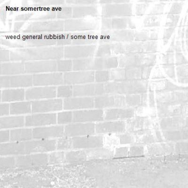 weed general rubbish / some tree ave-somertree ave 