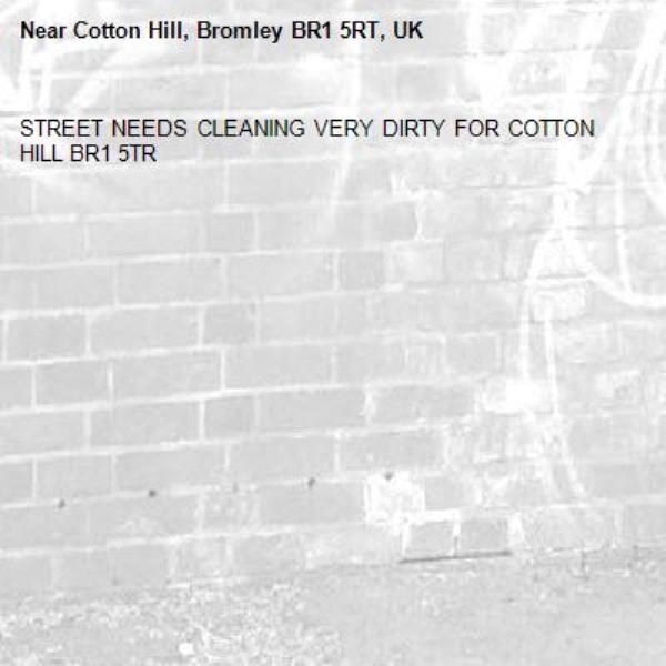STREET NEEDS CLEANING VERY DIRTY FOR COTTON HILL BR1 5TR-Cotton Hill, Bromley BR1 5RT, UK