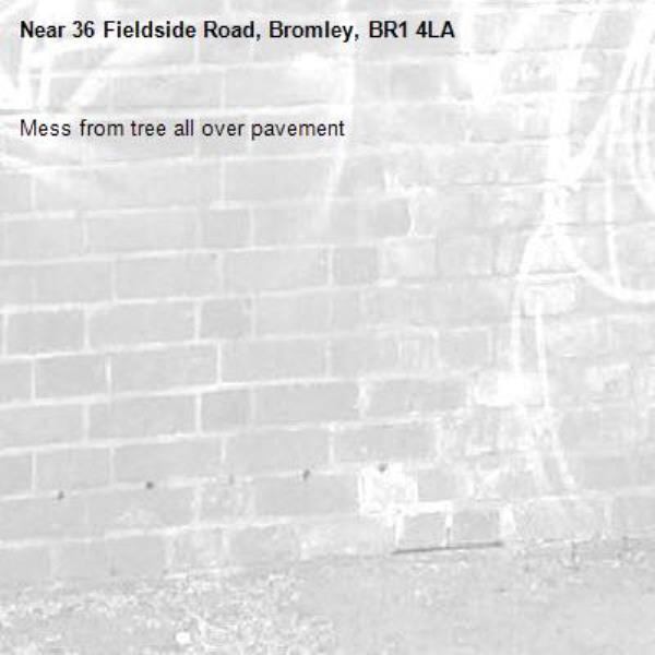Mess from tree all over pavement-36 Fieldside Road, Bromley, BR1 4LA