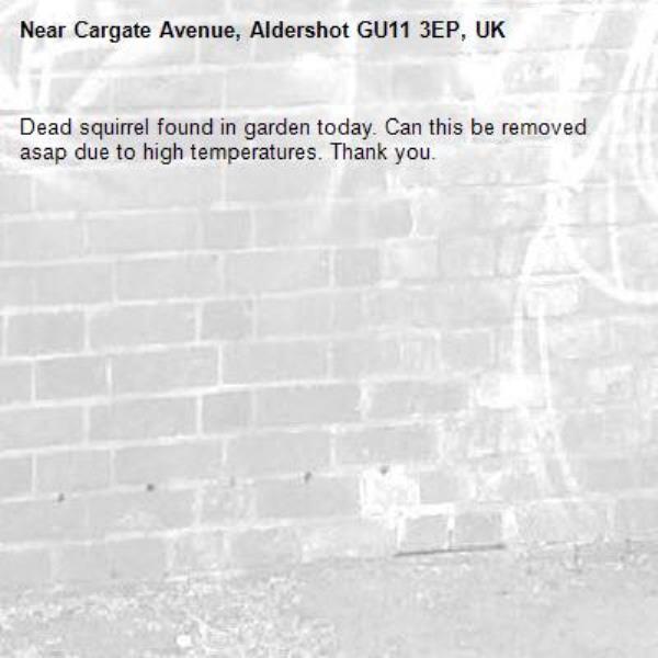 Dead squirrel found in garden today. Can this be removed asap due to high temperatures. Thank you. -Cargate Avenue, Aldershot GU11 3EP, UK