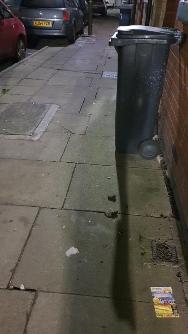 Dog mess left in the street, common in this area-75 Beatrice Road, Leicester, LE3 9FJ