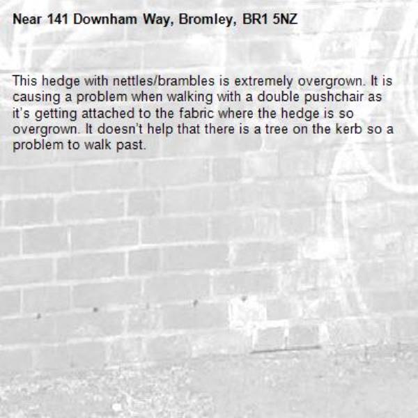 This hedge with nettles/brambles is extremely overgrown. It is causing a problem when walking with a double pushchair as it’s getting attached to the fabric where the hedge is so overgrown. It doesn’t help that there is a tree on the kerb so a problem to walk past.-141 Downham Way, Bromley, BR1 5NZ