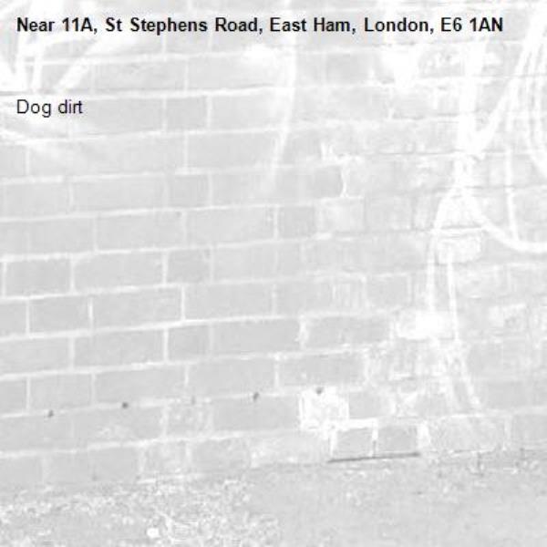 Dog dirt-11A, St Stephens Road, East Ham, London, E6 1AN