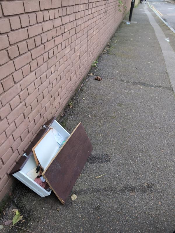Fly tipping and massive poo-West Ham Cemetery
