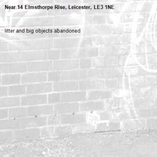 litter and big objects abandoned-14 Elmsthorpe Rise, Leicester, LE3 1NE