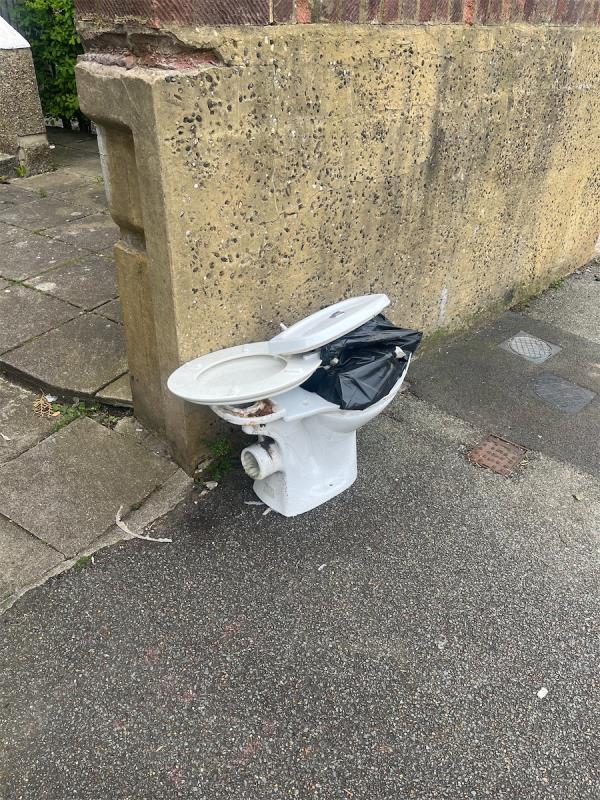 Old toilet dumped by neighbours landlord -Flat A, 7 Charleville Circus, London, SE26 6NR