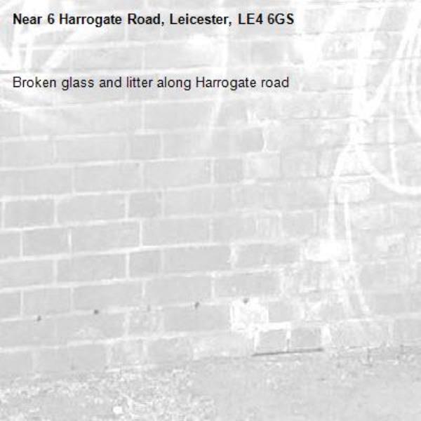 Broken glass and litter along Harrogate road -6 Harrogate Road, Leicester, LE4 6GS