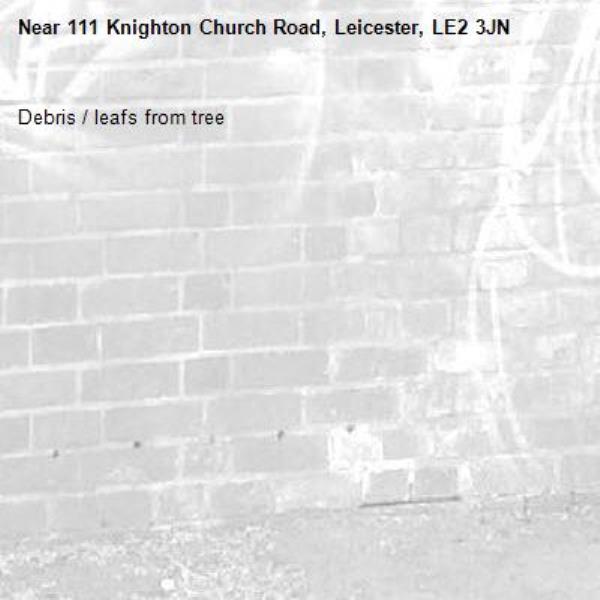 Debris / leafs from tree-111 Knighton Church Road, Leicester, LE2 3JN