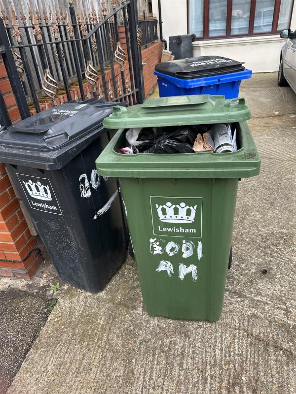 Missed collection for recycle and refuse all the time-Bodiam, St Fillans Road, London, SE6 1DG