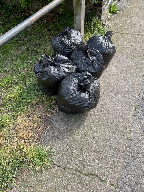 Black bags dumped near entrance to Ladywell fields-Lower Flat, 49 Medusa Road, London, SE6 4JW