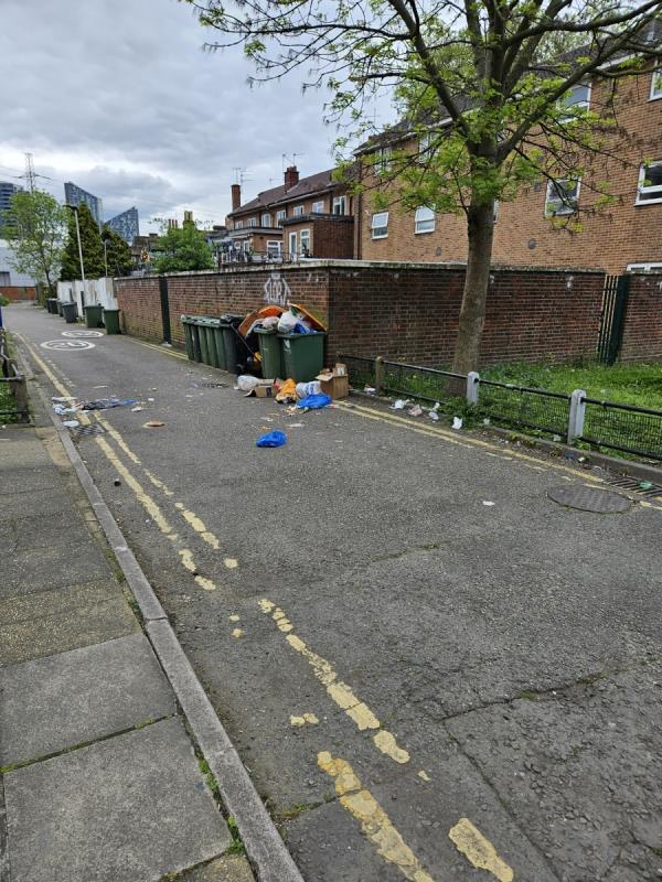 Disgusting behaviour by the bin people. They take our bins but leave rubbish scattered all along the street. Clean this mess up as soon as. -10 Aldersbrook Lane, Manor Park, London, E12 5LG