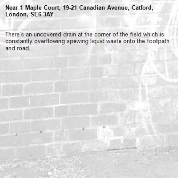 There’s an uncovered drain at the corner of the field which is constantly overflowing spewing liquid waste onto the footpath and road.-1 Maple Court, 19-21 Canadian Avenue, Catford, London, SE6 3AY