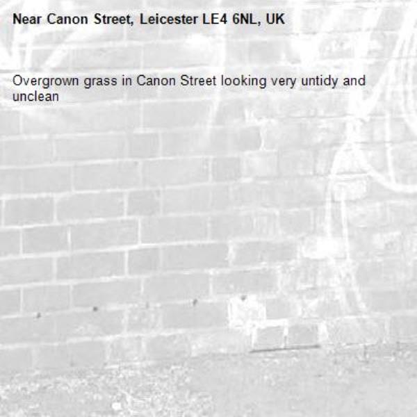 Overgrown grass in Canon Street looking very untidy and unclean-Canon Street, Leicester LE4 6NL, UK
