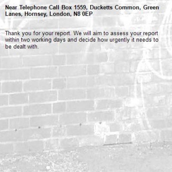 Thank you for your report. We will aim to assess your report within two working days and decide how urgently it needs to be dealt with.-Telephone Call Box 1559, Ducketts Common, Green Lanes, Hornsey, London, N8 0EP
