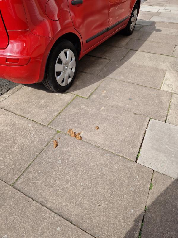 Dog owners are not cleaning up their dog mess. Disgusting on this street.-12 Pool Road, Leicester, LE3 9GD