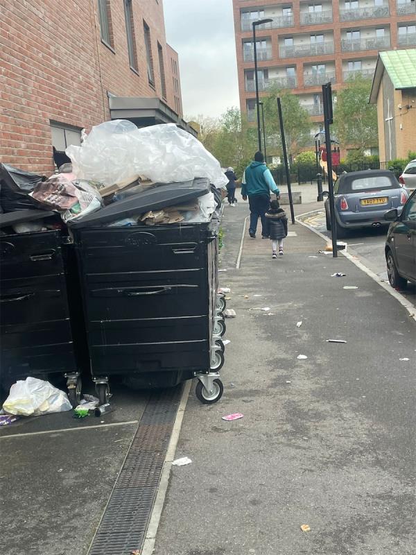 Bins not been emptied by council -11 Fife Road, Canning Town, London, E16 1XP