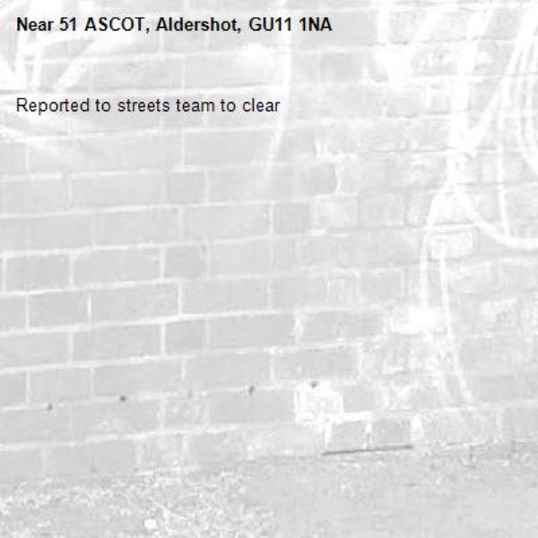 Reported to streets team to clear-51 ASCOT, Aldershot, GU11 1NA