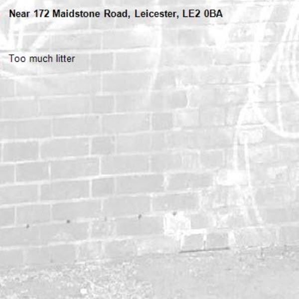 Too much litter-172 Maidstone Road, Leicester, LE2 0BA