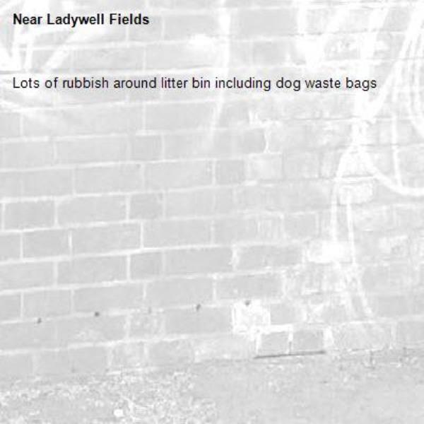 Lots of rubbish around litter bin including dog waste bags-Ladywell Fields