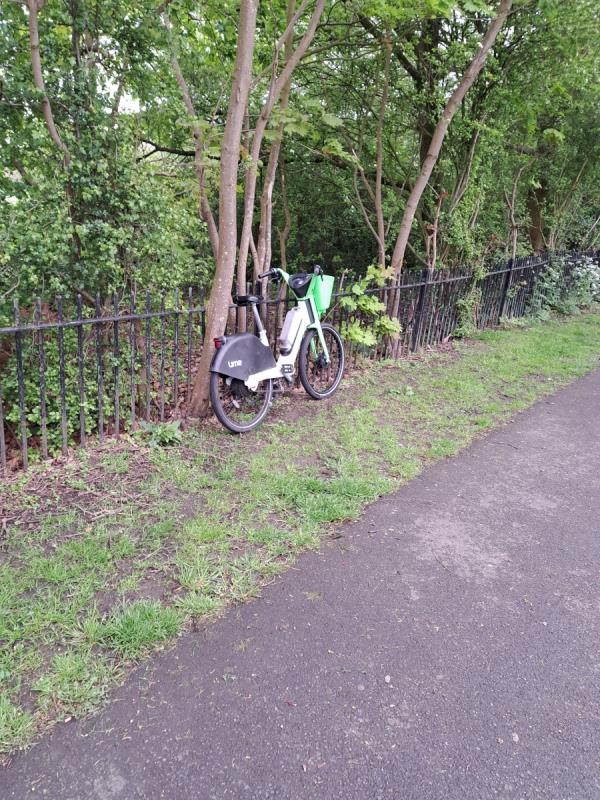 Lime bike near bellingham road entrance. Left it propped up against fence-Forster Park