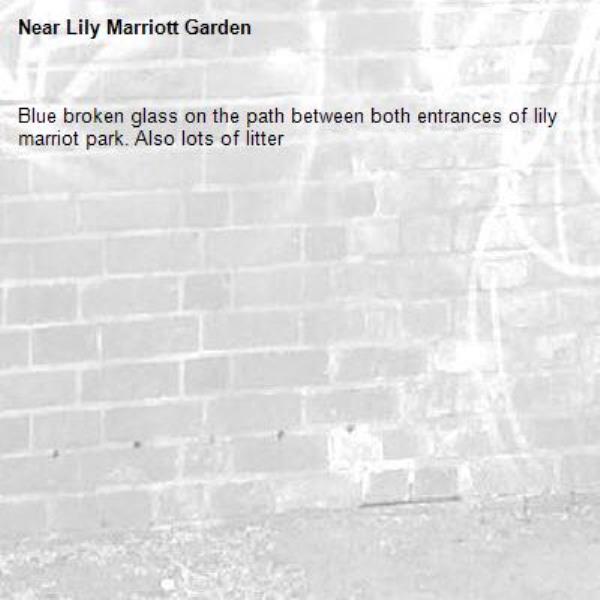 Blue broken glass on the path between both entrances of lily marriot park. Also lots of litter-Lily Marriott Garden