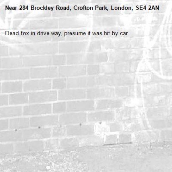 Dead fox in drive way, presume it was hit by car.
-284 Brockley Road, Crofton Park, London, SE4 2AN