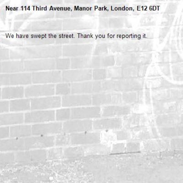 We have swept the street. Thank you for reporting it.-114 Third Avenue, Manor Park, London, E12 6DT