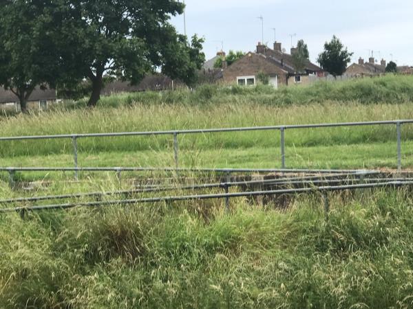 The footpaths to and from the footbridge are badly overgrown and it is impacting on access. They need to be cut back as soon as possible. Thank you -129 Thurncourt Road, Leicester, LE5 2NN