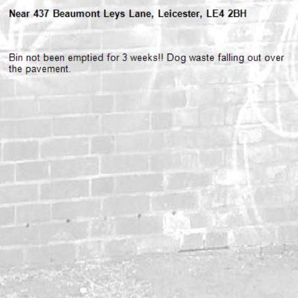 Bin not been emptied for 3 weeks!! Dog waste falling out over the pavement.-437 Beaumont Leys Lane, Leicester, LE4 2BH