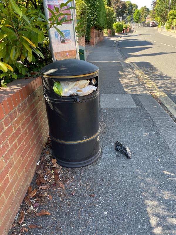 Overflowing rubbish bin with rubbish now falling and blowing onto highway.
Looks like household waste - probably because all our bins are smaller….-51 Priest Hill, Reading, RG4 7RY