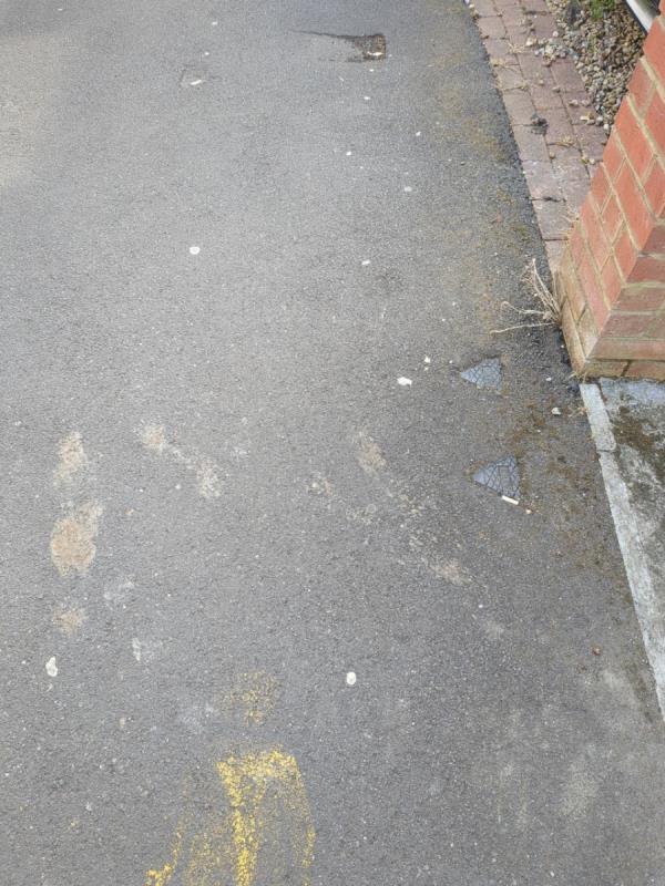 Dog mess spread out outside 30 Buxton road-46 Buxton Road, Stratford, London, E15 1QU