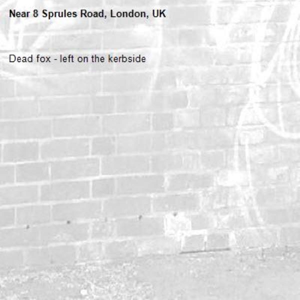 Dead fox - left on the kerbside -8 Sprules Road, London, UK