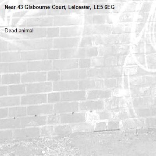 Dead animal-43 Gisbourne Court, Leicester, LE5 6EG