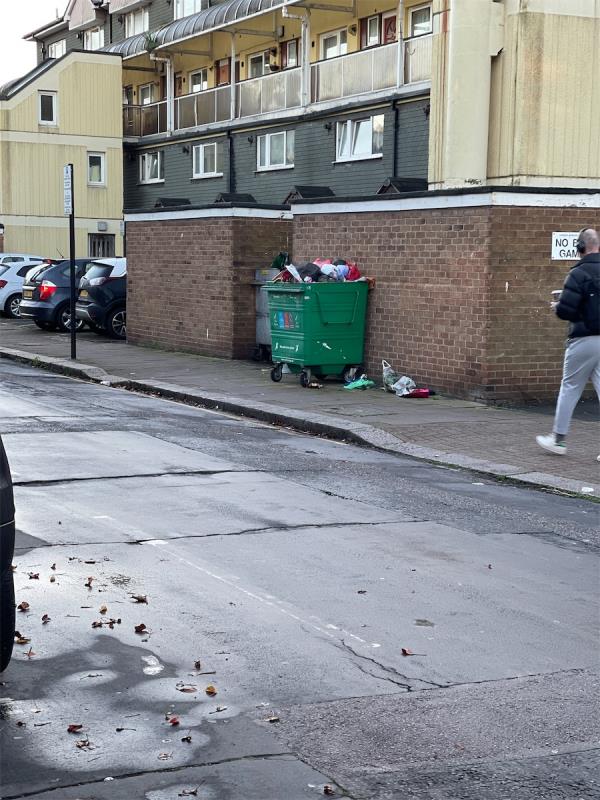 Put the bin in the bin store. Fine the landlord.-34 Shirley Road, Stratford, London, E15 4HX