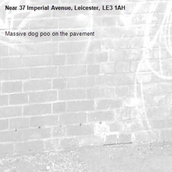 Massive dog poo on the pavement -37 Imperial Avenue, Leicester, LE3 1AH