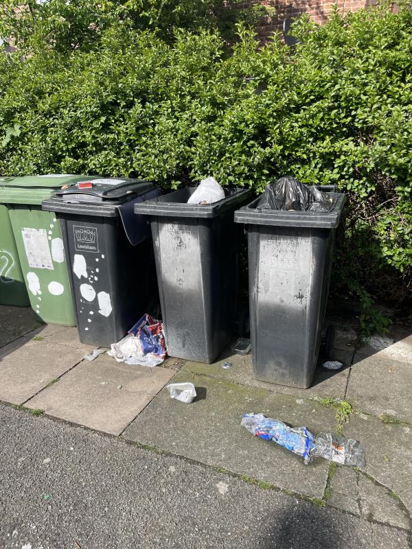 Please clean the litter.-54 Swallands Road, Bellingham, London, SE6 3JA