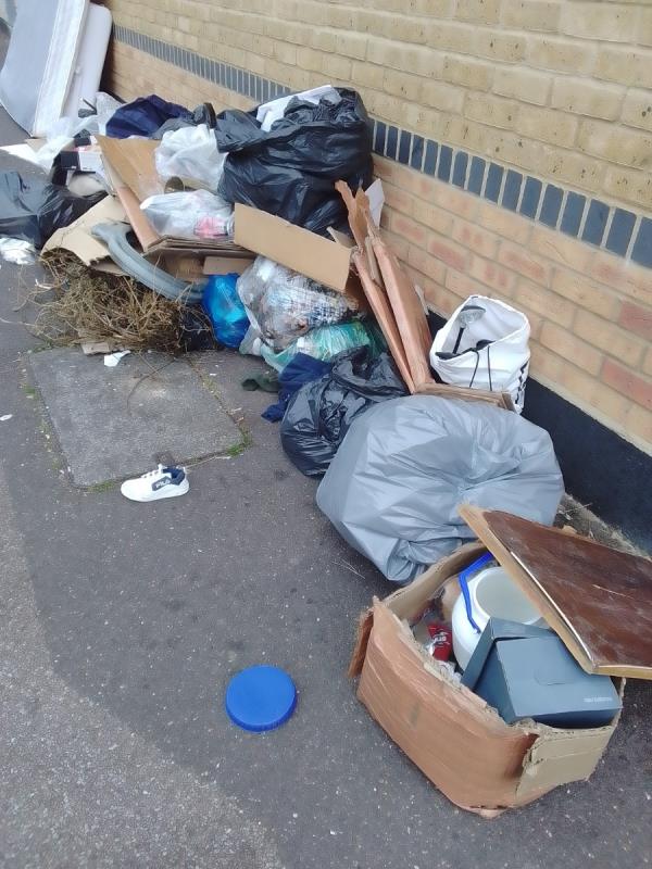 This is absolutely disgusting -20 Fry Road, East Ham, London, E6 1BS