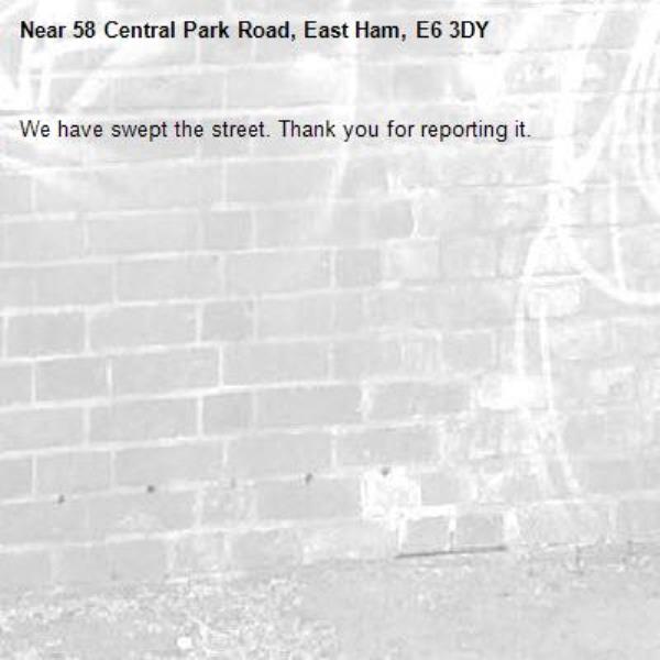 We have swept the street. Thank you for reporting it.-58 Central Park Road, East Ham, E6 3DY