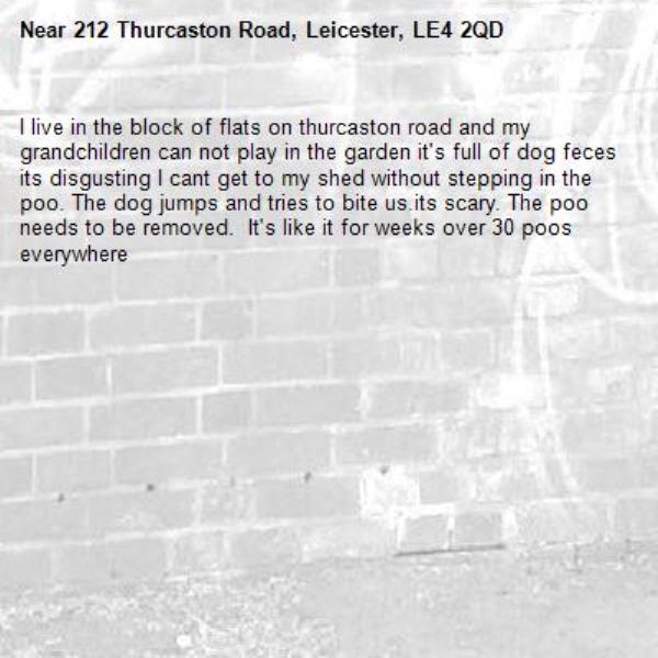 I live in the block of flats on thurcaston road and my grandchildren can not play in the garden it's full of dog feces its disgusting I cant get to my shed without stepping in the poo. The dog jumps and tries to bite us.its scary. The poo needs to be removed.  It's like it for weeks over 30 poos everywhere -212 Thurcaston Road, Leicester, LE4 2QD