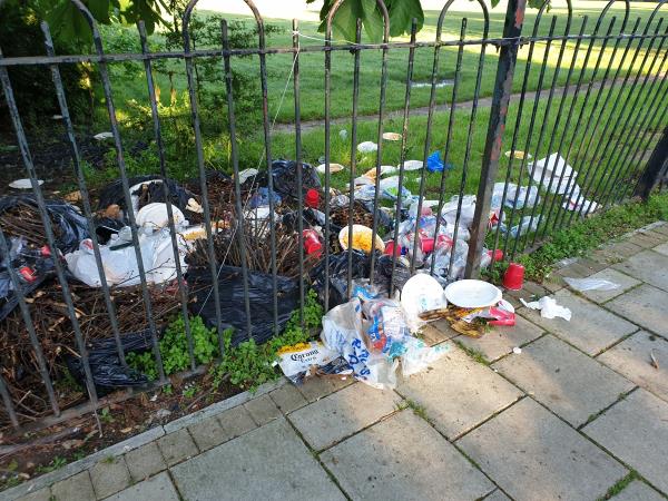 Massive pile of food and party waste- cups, plates, meat stew, plastic bottles- left on street and park. I've cleaned some of it but it was just too much to do it all. It's also half in park and half on streets. -Mountsfield Park