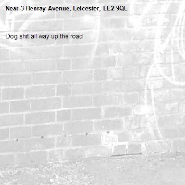 Dog shit all way up the road-3 Henray Avenue, Leicester, LE2 9QL