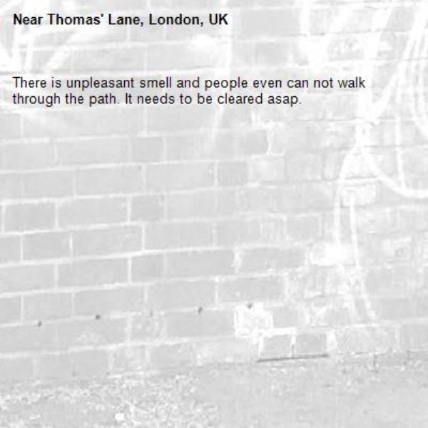 There is unpleasant smell and people even can not walk through the path. It needs to be cleared asap.-Thomas&#39; Lane, London, UK