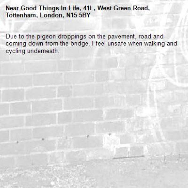 Due to the pigeon droppings on the pavement, road and coming down from the bridge, I feel unsafe when walking and cycling underneath.-Good Things In Life, 41L, West Green Road, Tottenham, London, N15 5BY