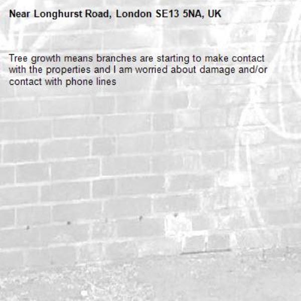 Tree growth means branches are starting to make contact with the properties and I am worried about damage and/or contact with phone lines-Longhurst Road, London SE13 5NA, UK