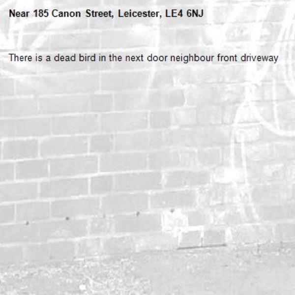 There is a dead bird in the next door neighbour front driveway-185 Canon Street, Leicester, LE4 6NJ