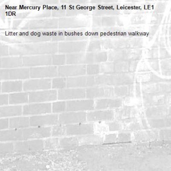 Litter and dog waste in bushes down pedestrian walkway-Mercury Place, 11 St George Street, Leicester, LE1 1DR