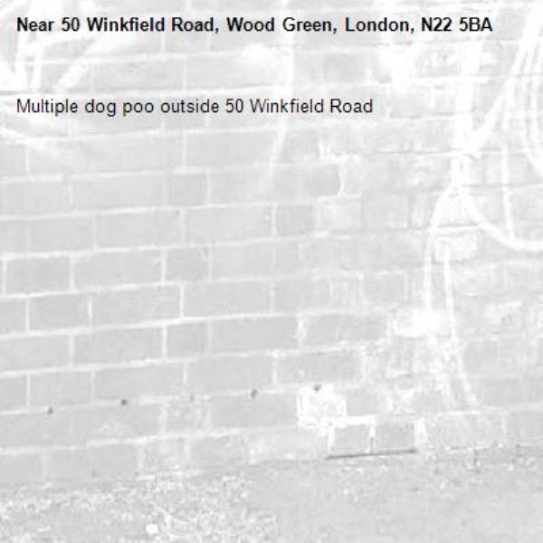 Multiple dog poo outside 50 Winkfield Road -50 Winkfield Road, Wood Green, London, N22 5BA