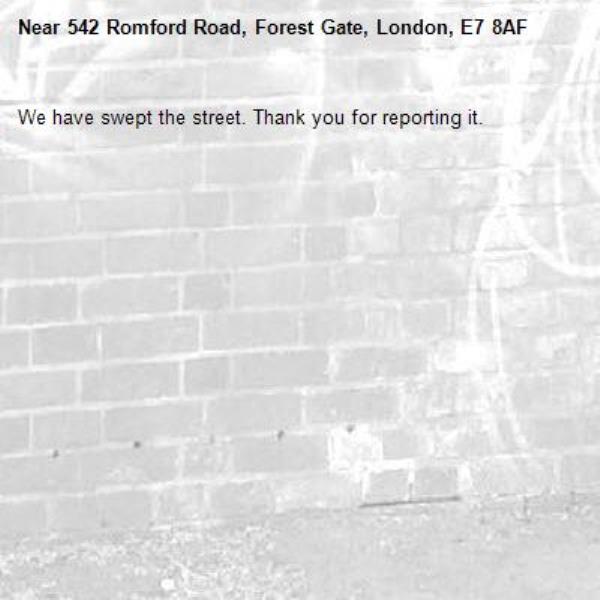We have swept the street. Thank you for reporting it.-542 Romford Road, Forest Gate, London, E7 8AF